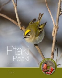 Ptaki Polski. Tom 2 - okładka książki