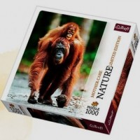 Orangutan. Indonezja (puzzle 1000-elem.) - zdjęcie zabawki, gry