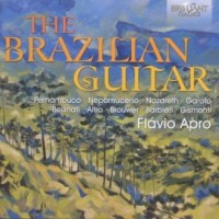 Brazilian Guitar - okładka płyty