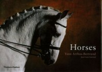Horses - okładka książki