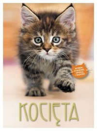 Kocięta - okładka książki
