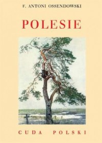 Polesie. Cuda Polski - okładka książki