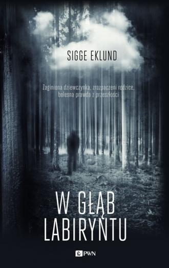 W głąb labiryntu - okładka książki
