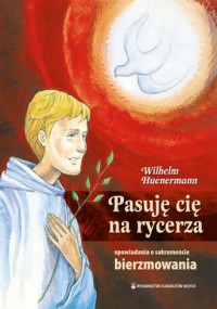 Pasuję cię na rycerza. Opowiadania - okładka książki