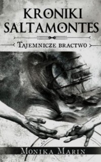 Kroniki Saltamontes. Tajemnicze - okładka książki