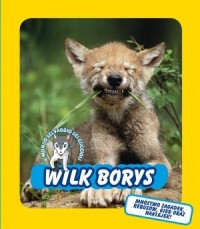 Wilk Borys. Świat dzikich maluchów - okładka książki
