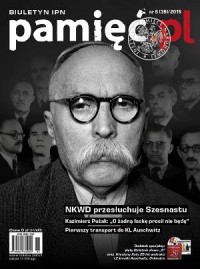 Pamięć.pl. Biuletyn IPN 6(39)/2015 - okładka książki