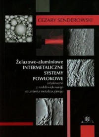 Żelazowo-aluminiowe intermetaliczne - okładka książki