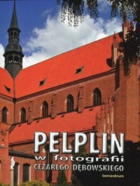 Pelplin w fotografii Cezarego Dębowskiego - okładka książki