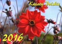 Kalendarz 2016. Kwiaty Polskie - okładka książki