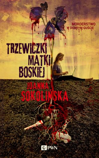 Trzewiczki Matki Boskiej - okładka książki
