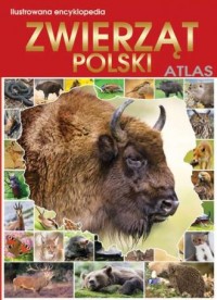 Ilustrowana encyklopedia zwierząt - okładka książki