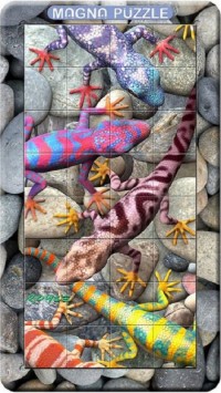 Gecko (puzzle 3D 32-elem.) - zdjęcie zabawki, gry