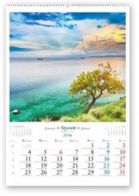 Kalendarz 2016. Drzewa świata - okładka książki