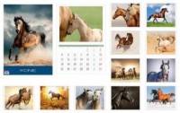 Kalendarz 2016. Konie (planszowy, - okładka książki