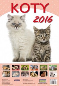 Kalendarz 2016. Koty (ścienny) - okładka książki