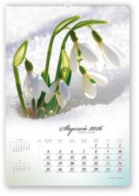 Kalendarz 2016. Poezja natury - okładka książki