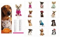 Kalendarz 2016. Psy i kot (planszowy, - okładka książki