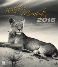 Kalendarz 2016. Dzikie momenty - okładka książki