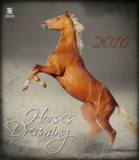 Kalendarz 2016. Konie - okładka książki