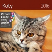Kalendarz 2016. Koty - okładka książki