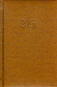 Kalendarz 2016. Książkowy (B6, - okładka książki