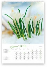 Kalendarz 2016. Kwiaty w naturze - okładka książki