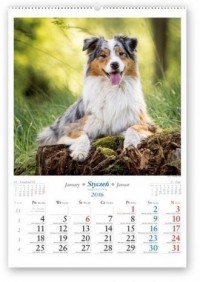 Kalendarz 2016. Nasze psy - okładka książki