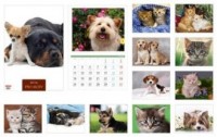 Kalendarz 2016. Psy i Koty (A3) - okładka książki