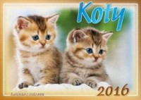 Kalendarz rodzinny 2016. Koty - okładka książki