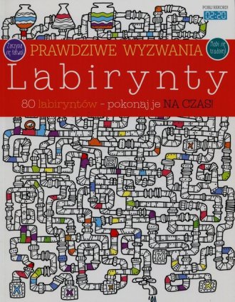 Prawdziwe wyzwania. Labirynty - okładka książki