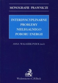 Interdyscyplinarne problemy nielegalnego - okładka książki