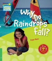 Why Do Raindrops Fall? 3 Factbook - okładka książki