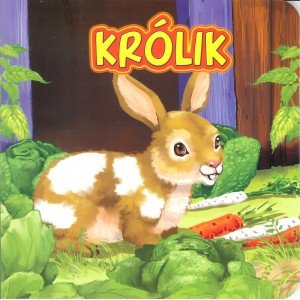Królik - okładka książki