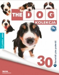 Berneński Pies Pasterski - okładka książki