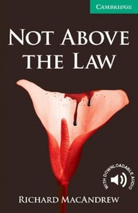 Not Above the Law. Level 3. Lower - okładka książki