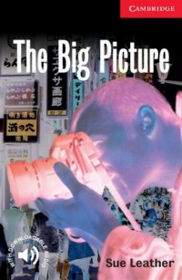 The Big Picture. Level 1 - okładka książki