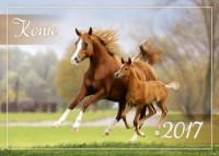 Kalendarz 2017. Konie (A4)  - okładka książki