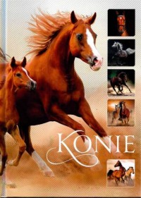 Konie - okładka książki