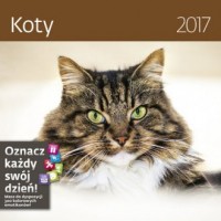 Kalendarz 2017. Koty - okładka książki