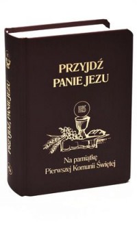 Przyjdź Panie Jezu. Na pamiątkę - ks. Stanisław Groń - okładka książki