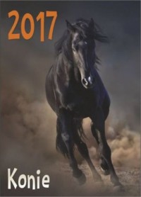 Kalenadrz 2017. Konie - okładka książki
