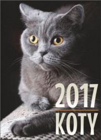 Kalenadrz 2017. Koty - okładka książki