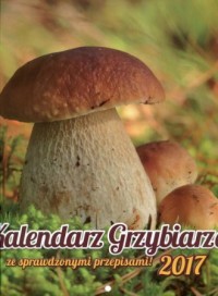 Kalendarz 2017. Kalendarz grzybiarza - okładka książki