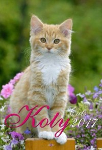 Kalendarz 2017. Koty (A3) - okładka książki