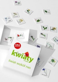 Kwiaty polne. Świat wokół nas. - zdjęcie zabawki, gry