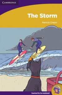 The Storm - okładka książki
