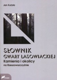 Słownik gwary lasowieckiej Kamienia - okładka książki