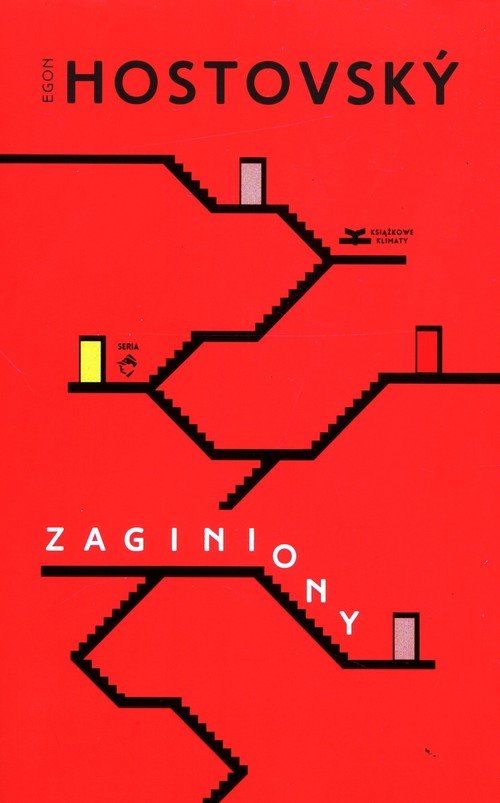 Zaginiony - okładka książki
