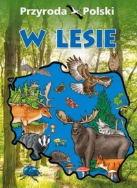 Przyroda Polski. W lesie - okładka książki